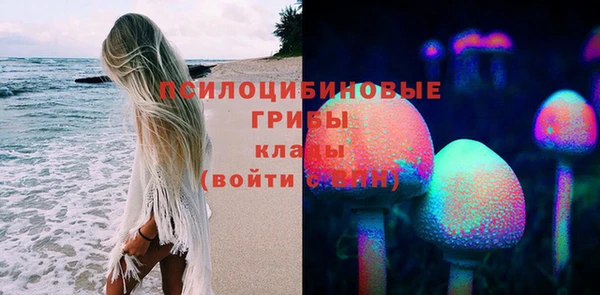 ГАЛЛЮЦИНОГЕННЫЕ ГРИБЫ Беломорск