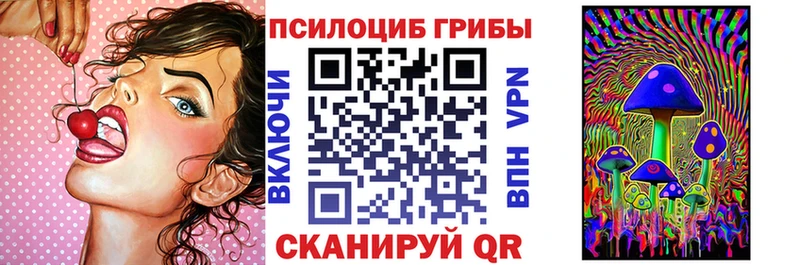 где купить наркотик  Трубчевск  Псилоцибиновые грибы мицелий 